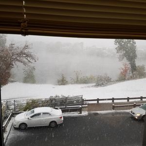 Meet your Posher, Ann